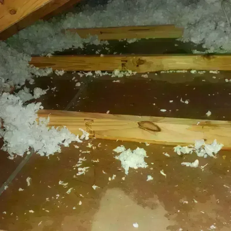 Attic Water Damage in East Uniontown, PA